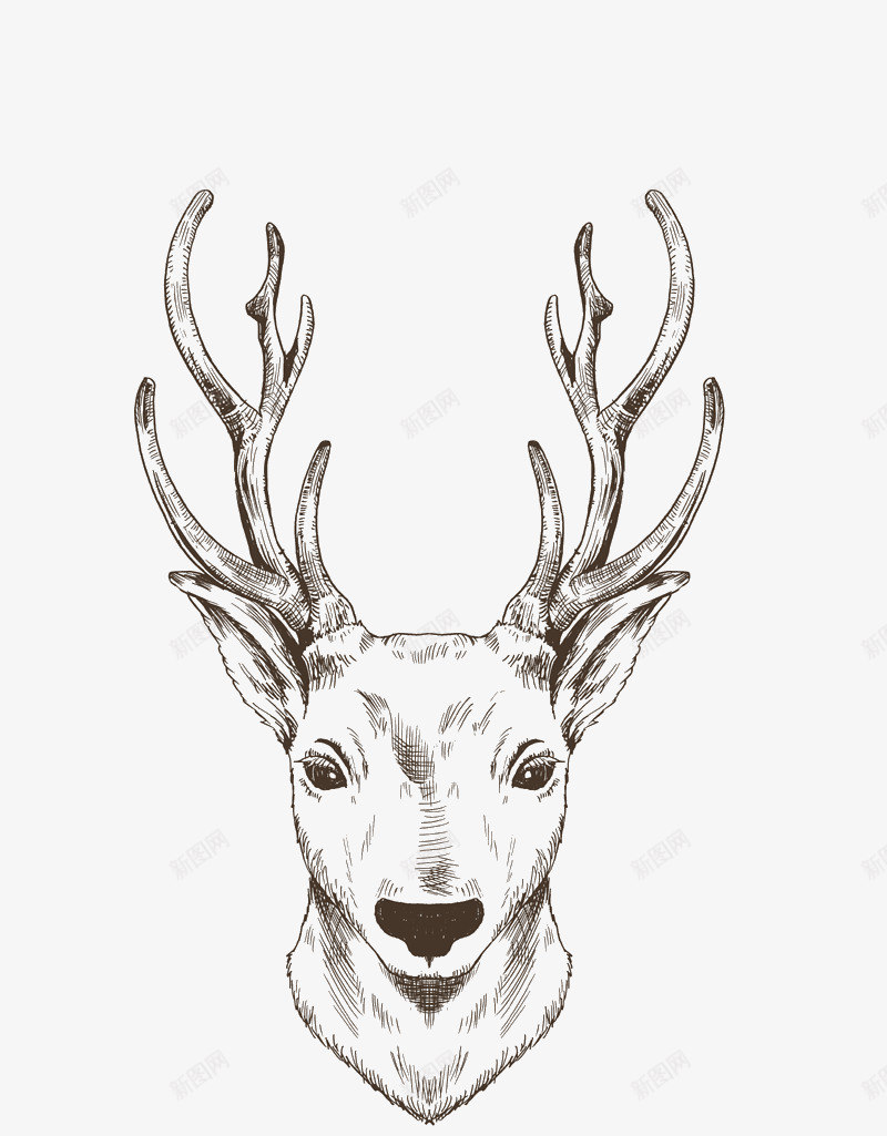 手绘线条绘画动物麋鹿png免抠素材_88icon https://88icon.com 动物 手绘 线条 绘画 麋鹿