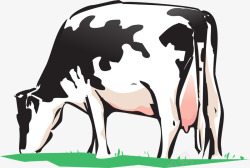 奶牛吃草素材