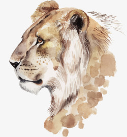 手绘可爱狮子矢量图素材