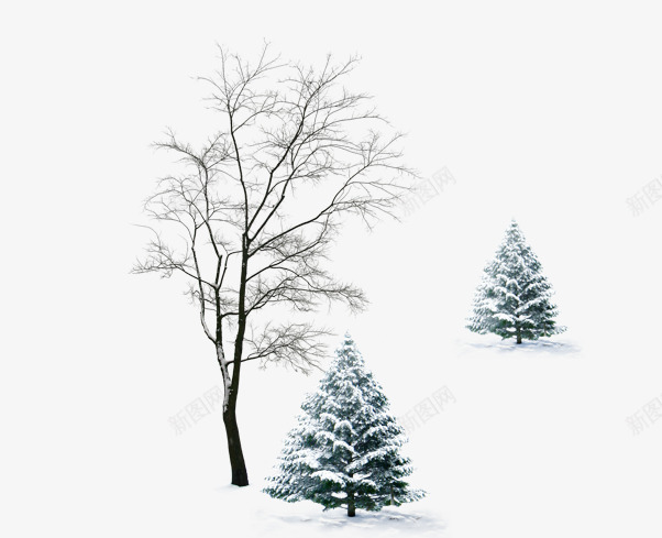树png免抠素材_88icon https://88icon.com 松树 树 白色 雪