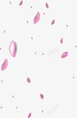 小清新粉色花瓣素材