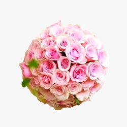 粉色玫瑰花球素材