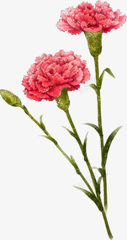 粉色手绘温馨花朵植物素材