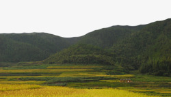 大山环绕的稻田素材