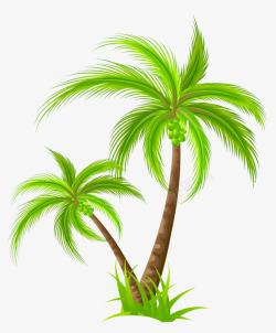 海南椰子树素材