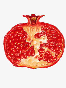 石榴粒红石榴切面高清图片