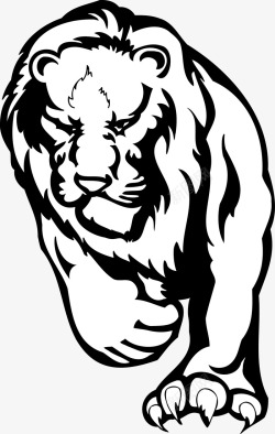动物狮子素材