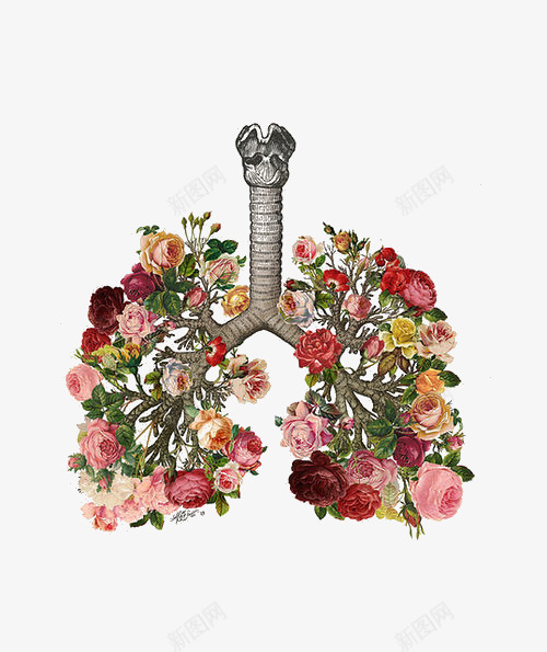 手段形象肺png免抠素材_88icon https://88icon.com 器材 手段肺 肝部