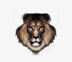 狮子头透明背景素材