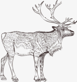 手绘麋鹿图案矢量图素材