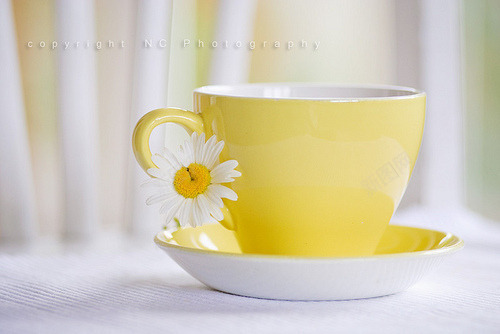 一杯热茶png免抠素材_88icon https://88icon.com 一杯热腾腾的茶水 挂着一朵小花的杯子 黄色
