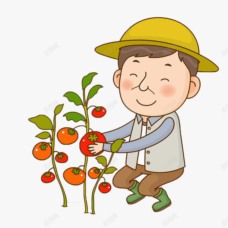 忙着摘番茄的农民png免抠素材_88icon https://88icon.com 农忙 农民 农民劳作 劳作 卡通形象 成熟 摘番茄 果实