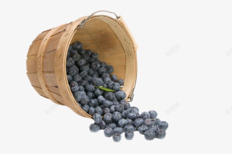 实物桶里倒出来的蓝莓png免抠素材_88icon https://88icon.com 免扣 免费下载 果树 水果 笃斯 美食 蓝色 蓝色浆果 野生蓝莓 食物