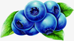质感创意合成新鲜的蓝莓素材