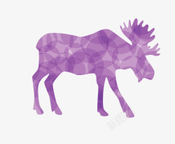 梦幻紫色麋鹿头紫色梦幻大角驯鹿高清图片