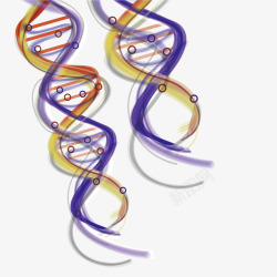 创意双螺旋结构素材