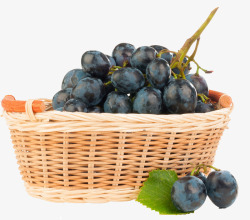 产品实物蓝莓水果素材