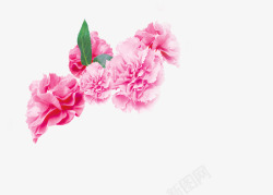 粉色温馨花朵装饰母亲节素材