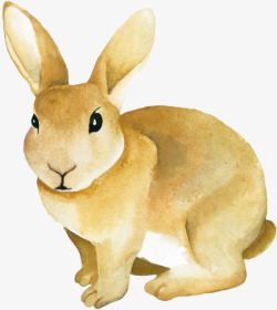 手绘黄色的小兔子图素材