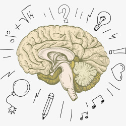 脑血管免抠图思维形象卡通大脑高清图片