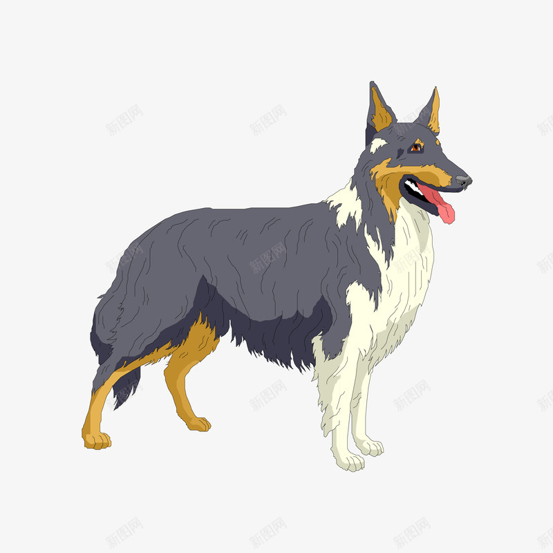 手绘灰色宠物狗苏牧png免抠素材_88icon https://88icon.com 大型犬 宠物狗 手绘狗 牧羊犬 狗 狗年 苏牧