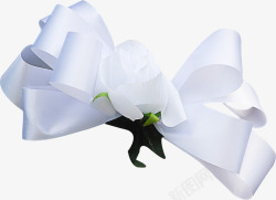 白色丝带服饰装饰花素材
