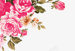 粉色温馨手绘花朵植物装饰素材