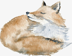 手绘水彩小狐狸图素材