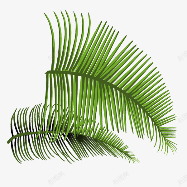 手绘绿色植物椰树叶子png免抠素材_88icon https://88icon.com 卡通手绘 叶子 植物 椰叶 椰树 水彩 绿色
