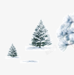 有雪的松树素材