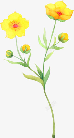 手绘黄色温馨花朵植物素材