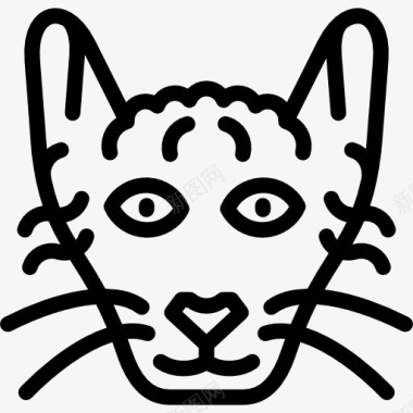 花斑猫laperm猫图标图标