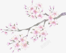 手绘粉色温馨桃花素材