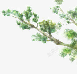 手绘绿色松树美景素材