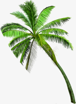 绿色椰树旅游装饰素材