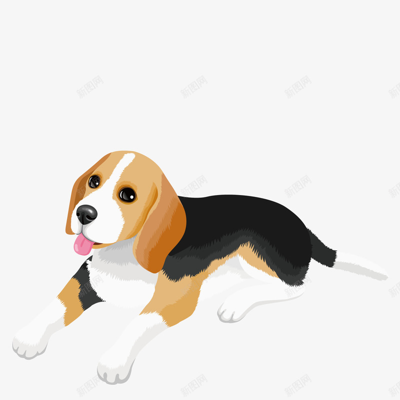 巨贵犬宠物狗png免抠素材_88icon https://88icon.com 宠物狗 巨贵犬 畜生