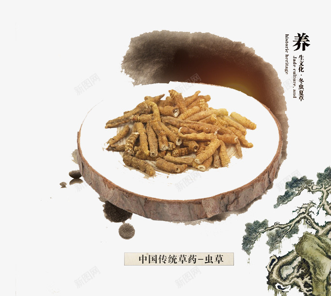 虫草实物图png免抠素材_88icon https://88icon.com 医药 松树 水墨 药物 药草 虫草