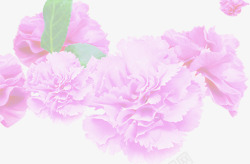 粉色温馨手绘花朵母亲节素材