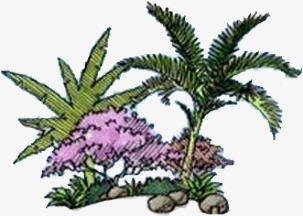 手绘园林植物椰树png免抠素材_88icon https://88icon.com 园林 植物 椰树