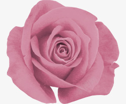 粉色装饰花朵背景元素素材