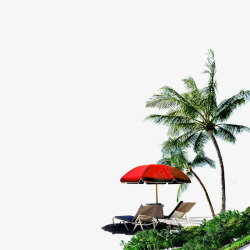 椰树遮阳伞素材