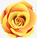 黄色玫瑰花温馨背景素材