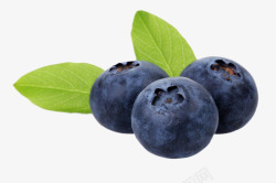 美味水果蓝莓素材