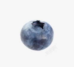 实物野生蓝莓素材