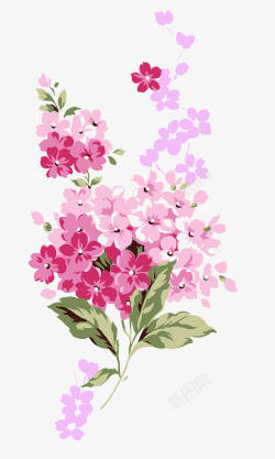 粉色可爱温馨小花素材