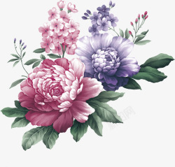 温馨节日手绘花朵植物素材
