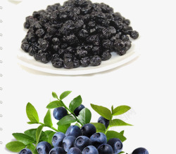 蓝莓果干素材