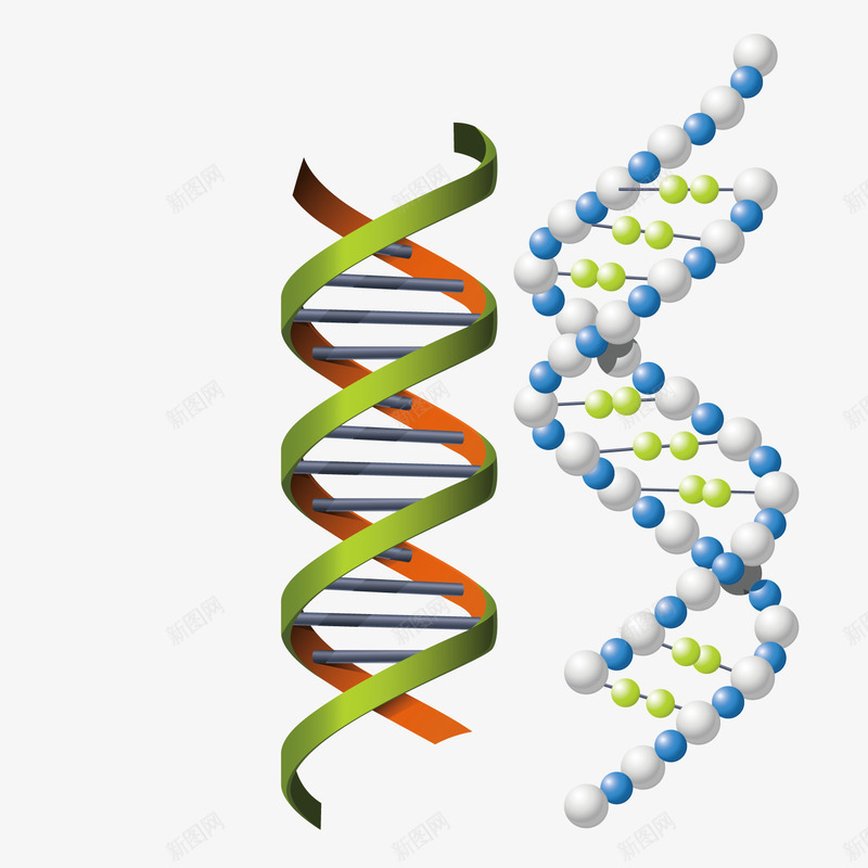 化学式立体结构矢量图ai免抠素材_88icon https://88icon.com 化学式 立体 结构 矢量图