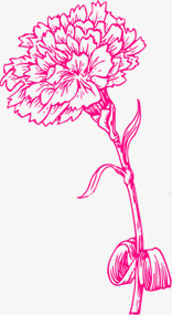 粉色温馨手绘花朵康乃馨素材