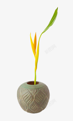 粘土陶瓷花盆植物素材